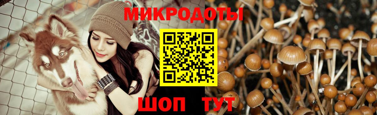 Псилоцибиновые грибы прущие грибы Кириши